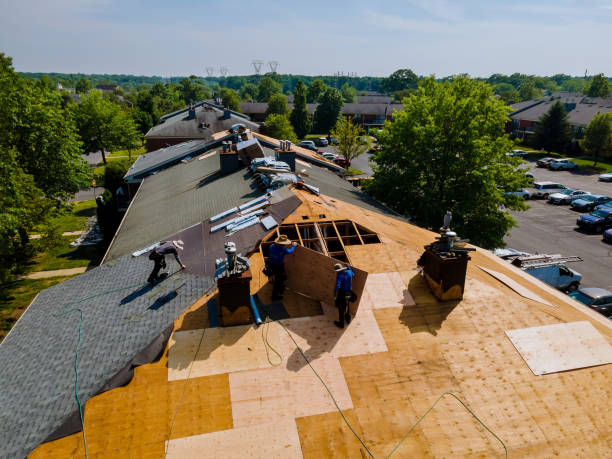 Residential Roof Replacement in Broadview Park, FL