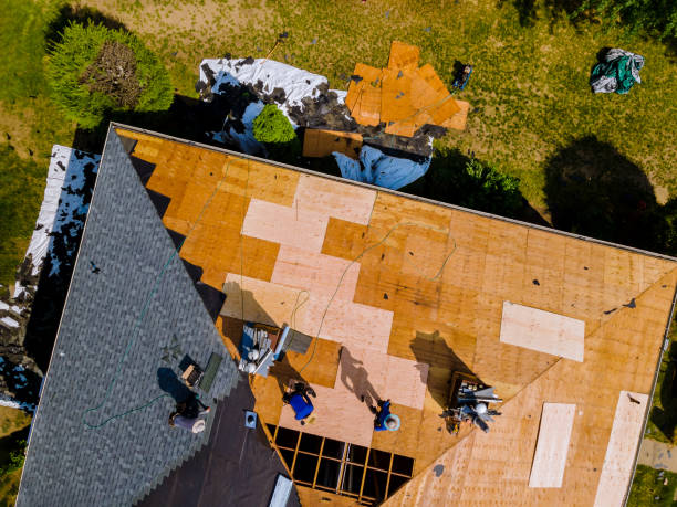 Best Roof Gutter Cleaning  in Broadview Park, FL